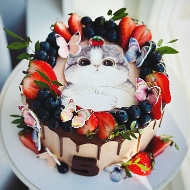 Торт "Котенок" купить - cыктывкар.сладкоежкин.рф